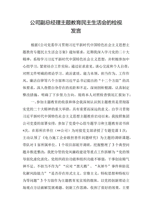公司副总经理主题教育民主生活会的检视发言.docx
