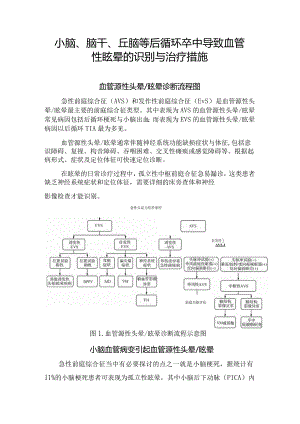 小脑、脑干、丘脑等后循环卒中导致血管性眩晕的识别与治疗措施.docx