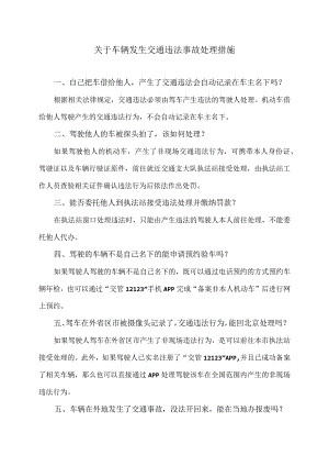 关于车辆发生交通违法事故处理措施（2024年）.docx