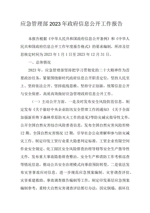 应急管理部2023年政府信息公开工作报告.docx