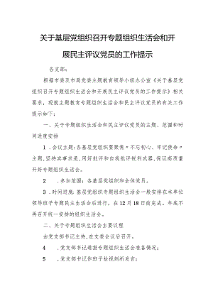 关于基层党组织召开专题组织生活会和开展民主评议党员的工作提示.docx