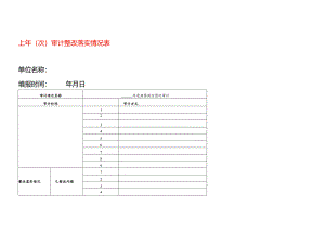上年（次)审计整改落实情况表.docx