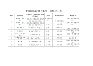 市级湖长湖泊水库责任分工表.docx