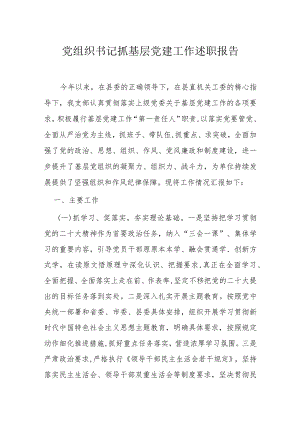 党组织书记抓基层党建工作述职报告.docx
