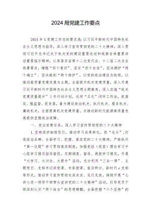 2024局党建工作要点.docx