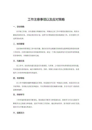 工作注意事项以及应对策略.docx
