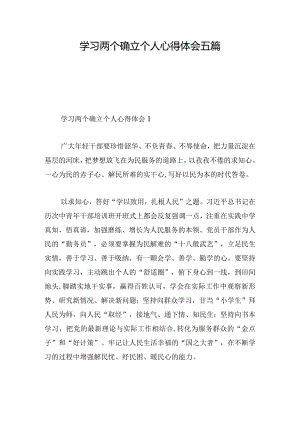学习两个确立个人心得体会五篇.docx