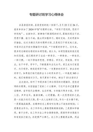 专题研讨班学习心得体会.docx