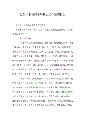 党组织书记抓基层党建工作述职报告.docx