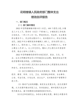 花明楼镇人民政府部门整体支出绩效自评报告.docx