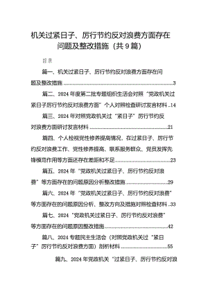 机关过紧日子、厉行节约反对浪费方面存在问题及整改措施九篇(最新精选).docx