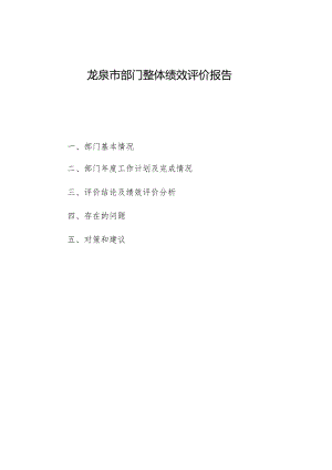 龙泉市部门整体绩效评价报告.docx
