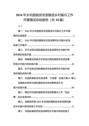 2024年乡巩固脱贫攻坚推进乡村振兴工作开展情况总结报告10篇（详细版）.docx