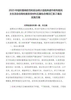 2023年组织围绕防范和惩治统计造假弄虚作假专题民主生活会自我检查发言材料五篇包含情况汇报2篇及实施方案.docx