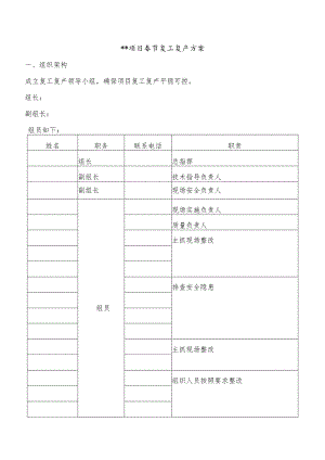 春节节假日复工复产方案.docx