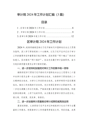 审计局2024年工作计划汇编（3篇）.docx