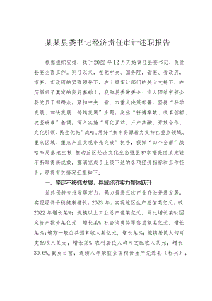 某某县委书记经济责任审计述职报告.docx