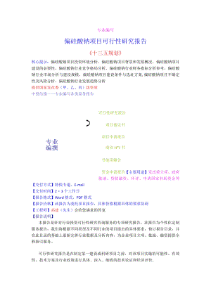 偏硅酸钠项目可行性研究报告.docx