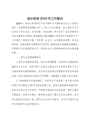 县水务局2024年工作要点.docx