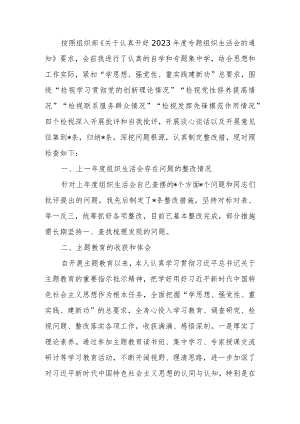 支部书记2023年专题组织生活会对照检查材料四个方面对照.docx