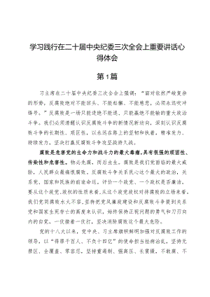 学习践行在二十届中央纪委三次全会上重要讲话心得体会3篇.docx