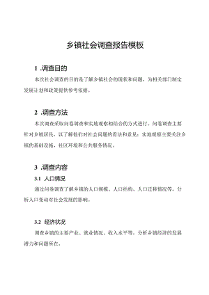 乡镇社会调查报告模板.docx