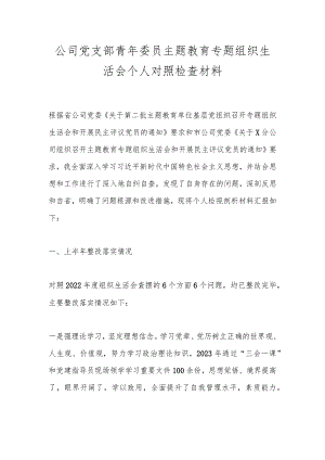 公司党支部青年委员主题教育专题组织生活会个人对照检查材料.docx