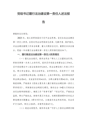 党组书记履行法治建设第一责任人述法报告.docx