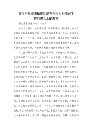 某市自然资源和规划局在全市乡村振兴工作务虚会上的发言.docx