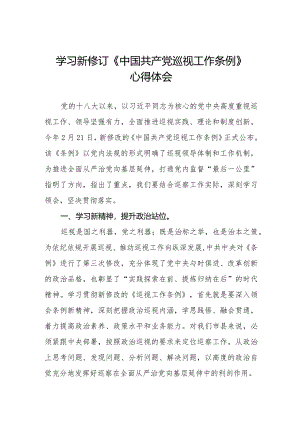 2024年新版《中国共产党巡视工作条例》学习心得体会五篇.docx