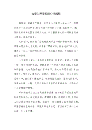 大学生开学军训心得感想.docx