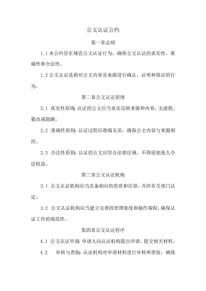 公文认证公约.docx