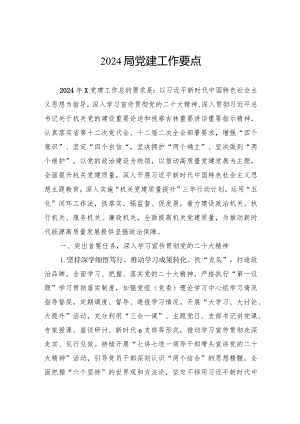 2024局党建工作要点.docx