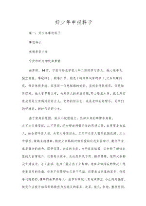 好少年申报料子.docx