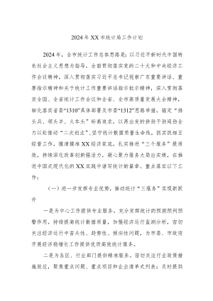 2024年XX市统计局工作计划.docx