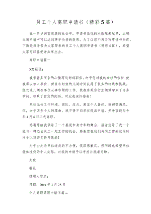 员工个人离职申请书（精彩5篇）.docx