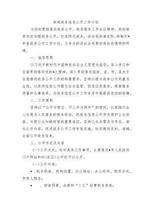 街道政务信息公开工作计划.docx