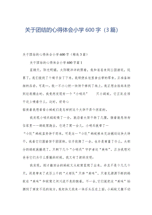 关于团结的心得体会小学600字（3篇）.docx