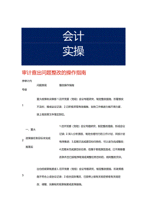 审计查出问题整改的操作指南.docx