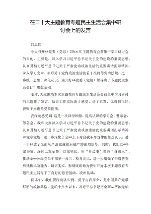 在二十大主题教育专题民主生活会集中研讨会上的发言.docx