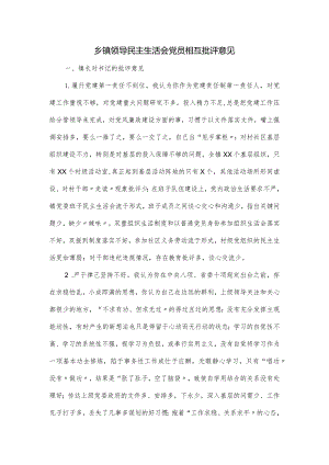 乡镇领导民主生活会党员相互批评意见.docx