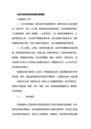 洪涝灾害事故应急救援处置措施.docx