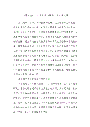 心得交流：在文化认同中推进北疆文化建设.docx