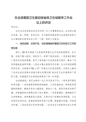 在全县爱国卫生暨迎接省级卫生城复审工作会议上的讲话.docx