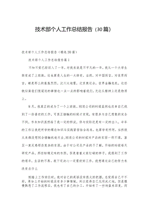 技术部个人工作总结报告（30篇）.docx