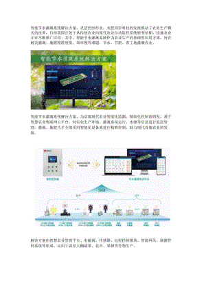 智能节水灌溉系统解决方案.docx