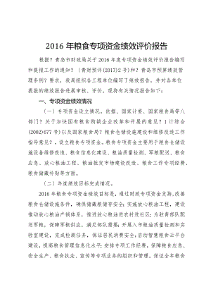 粮食专项资金绩效评价实施报告.docx