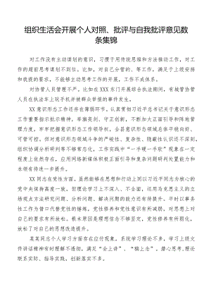 组织生活会开展个人对照、批评与自我批评意见数条集锦.docx
