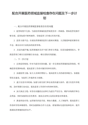 配合开展医药领域监督检查存在问题及下一步计划.docx
