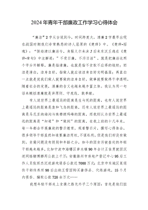2024年青年干部廉政工作学习心得体会.docx